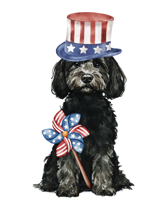 PIPPA BLU DESIGNS PATRIOTIC BLACK DOODLE