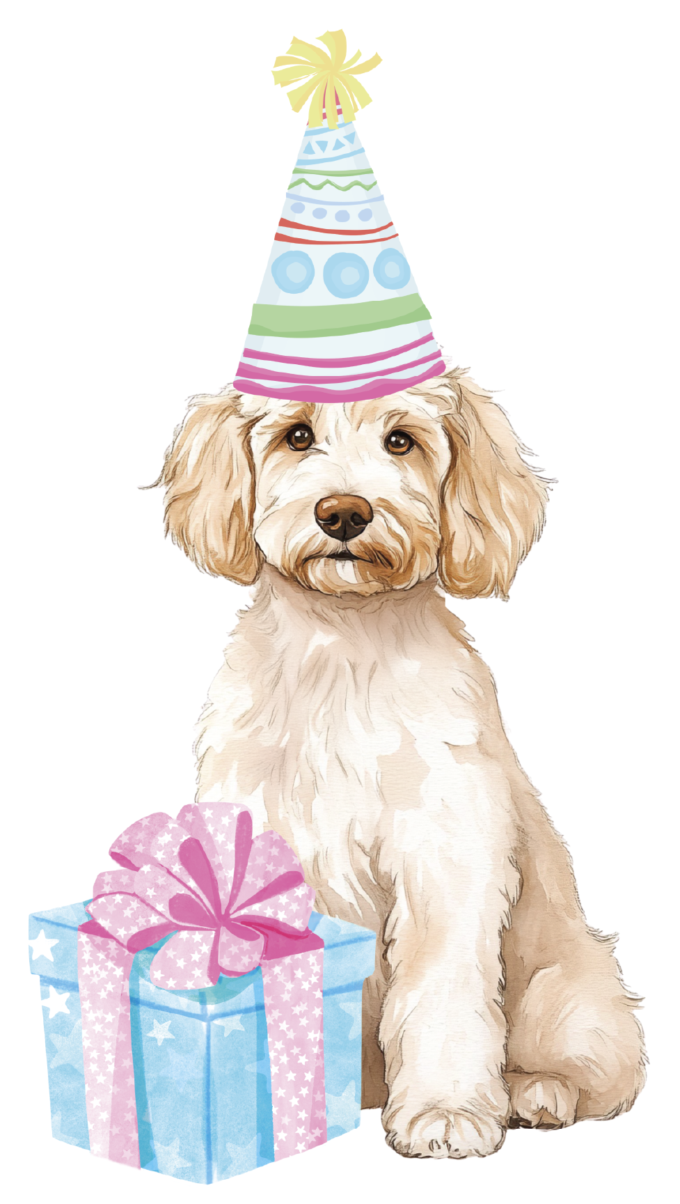 PIPPA BLU DESIGNS WHITE BRITHDAY DOODLE
