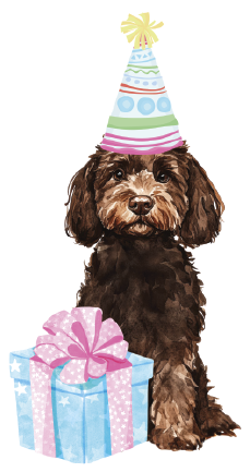 PIPPA BLU DESIGNS CHOCOLATE BRITHDAY DOODLE