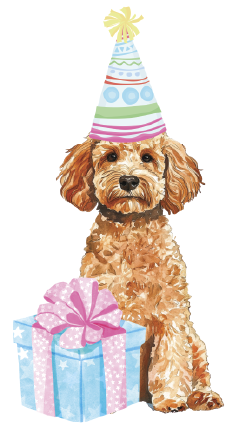 PIPPA BLU DESIGNS TAN BIRTHDAY DOODLE