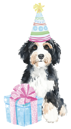 PIPPA BLU DESIGNS BERNA BIRTHDAY DOODLE