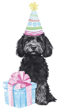 PIPPA BLU DESIGNS BLACK BIRTHDAY DOODLE