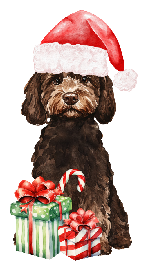 PIPPA BLU DESIGNS BROWN DOODLE IN SANTA HAT