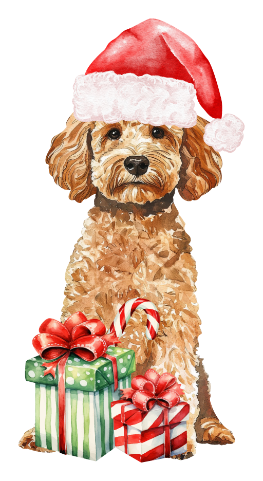 PIPPA BLU DESIGNS TAN DOODLE IN SANTA HAT