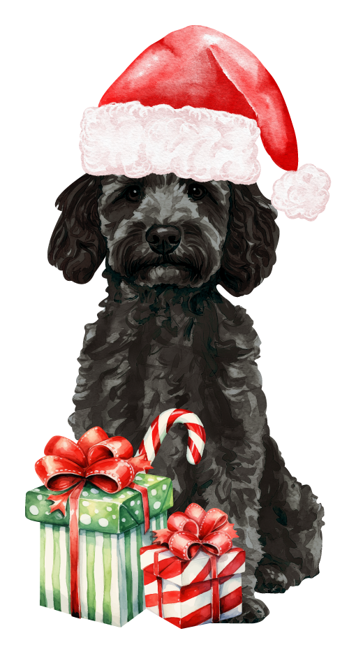 PIPPA BLU DESIGNS BLACK DOODLE IN SANTA HAT