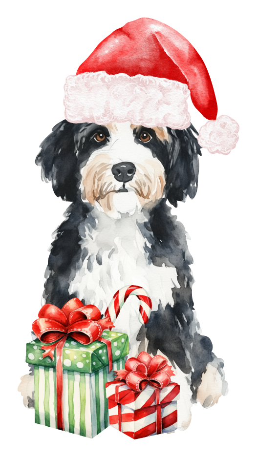 PIPPA BLU DESIGNS BERNADOODLE IN SANTA HAT
