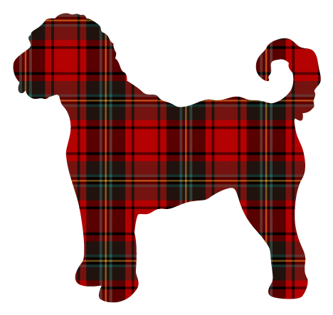 PIPPA BLU DESIGNS RED GREEN AND GOLD PLAID DOODLE
