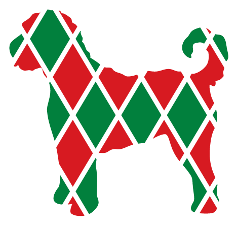 PIPPA BLU DESIGNS RED AND GREEN THICK LINED PLAID DOODLE