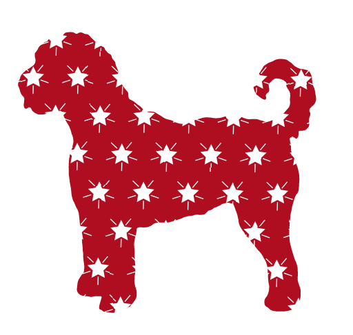 PIPPA BLU DESIGNS RED WITH WHITE STARS DOODLE