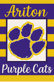 PAINT THE TOWN ARITON PURPLE CATS