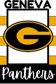 PAINT THE TOWN GENEVA PANTHERS