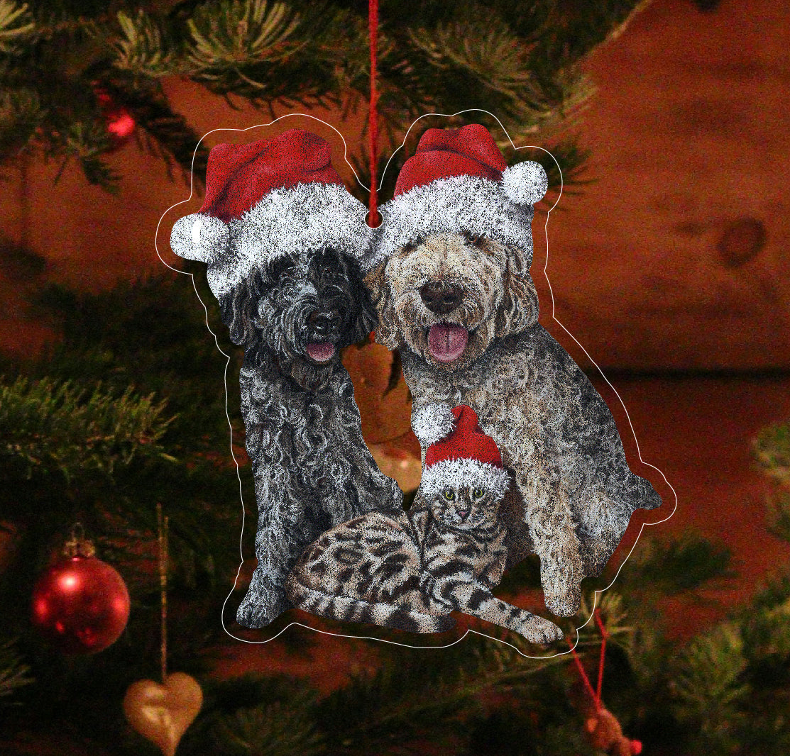 Custom Printed Acrylic Ornament