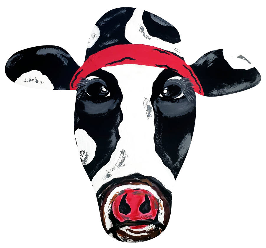 PURVIS FARMS BLACK AND WHITE COW