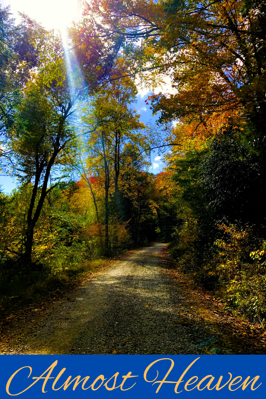 TRINA'S COLORFUL CREATIONS COUNTRY ROAD WITH TREES ALMOST HEAVEN