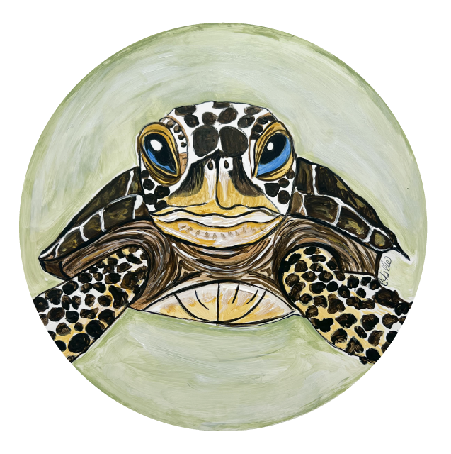 THE HAPPY BUTTERFLY SEA TURTLE