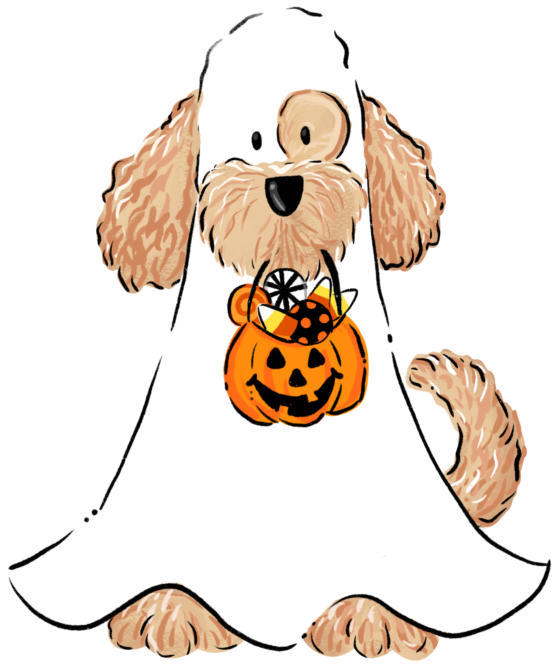 TOM TOM & CO GHOST DOG