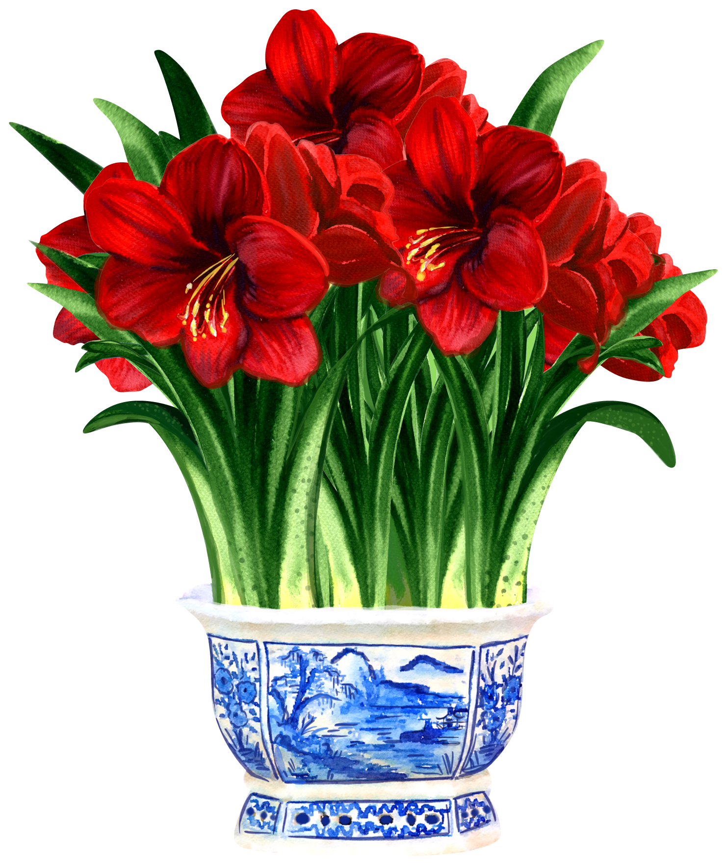 TOM TOM & CO RED FLOWERS
