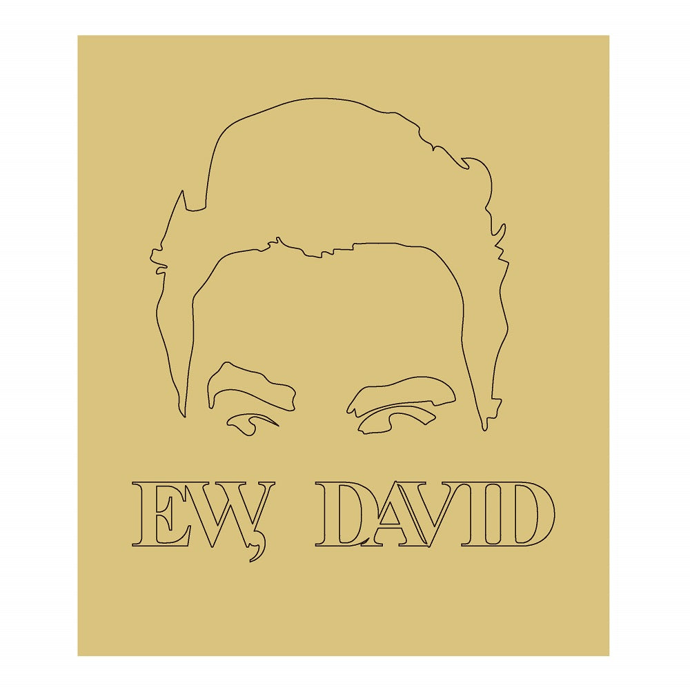 DL-EW-DAVID-1-A1