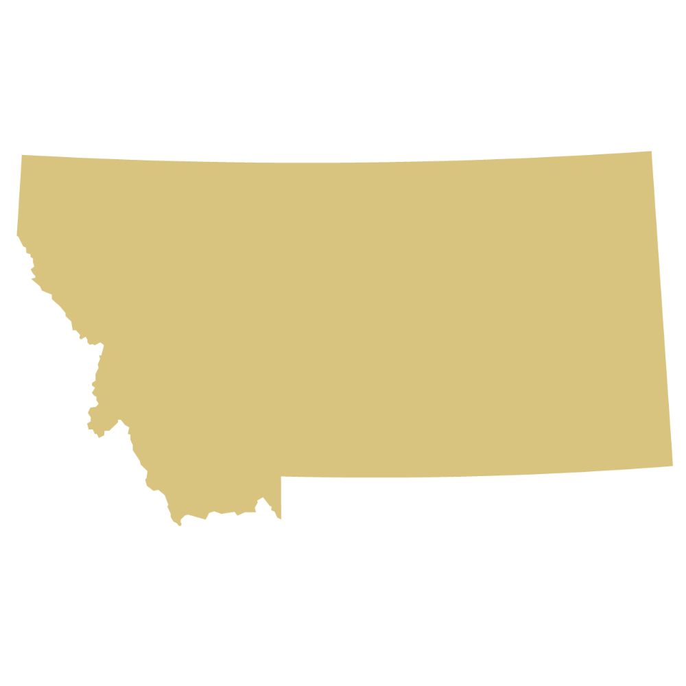 State Unfinished Wood Cutout Style 1